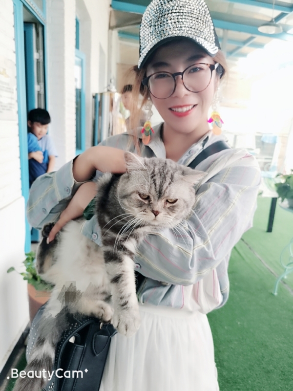 小黑猫的第一张照片--沙县交友网