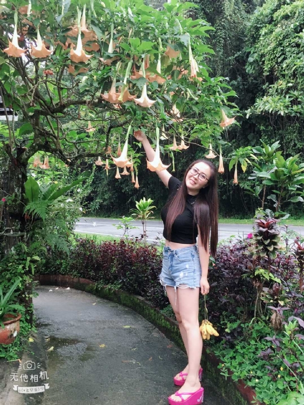 离异单身无子的第二张照片--沙县交友网