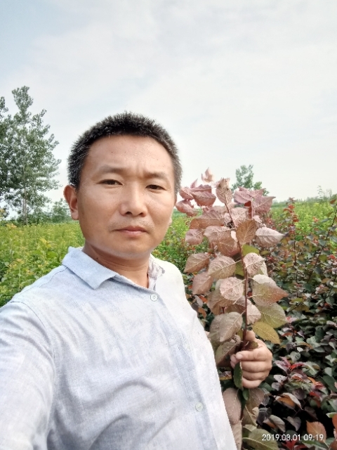孩子爸的第二张照片--沙县交友网