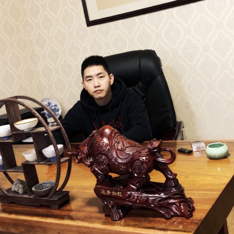 平淡的鸽子的第四张照片--沙县交友网