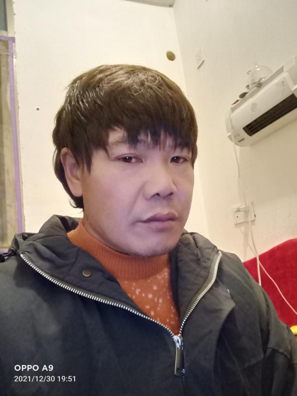 小鸟找窝的第一张照片--沙县交友网