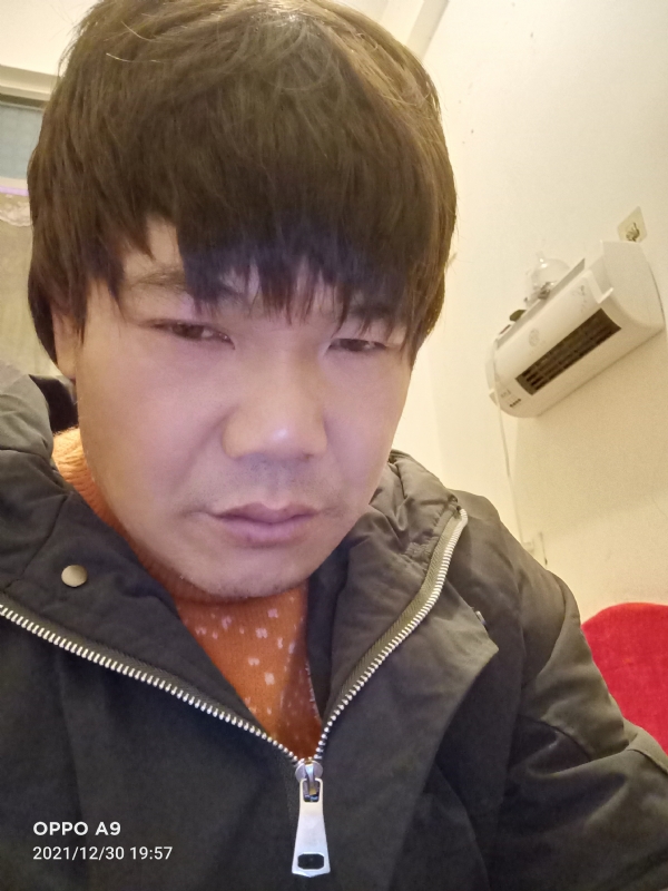 小鸟找窝的第二张照片--沙县交友网
