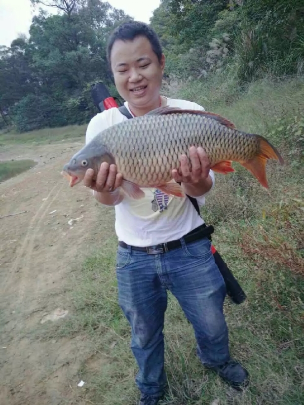 迷路的男人的第一张照片--沙县交友网